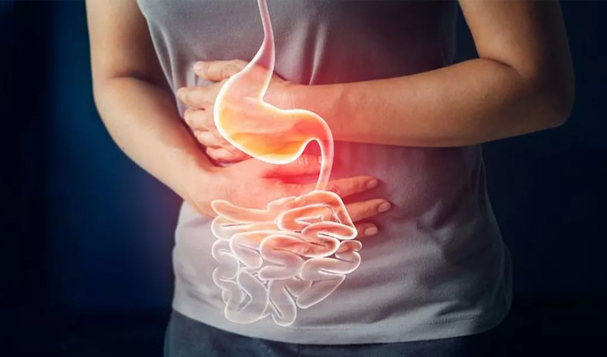 Gastrointestinal Treatment in Alwarpet