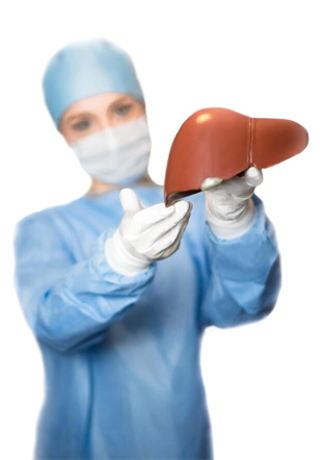 Liver Transplant in Chennai